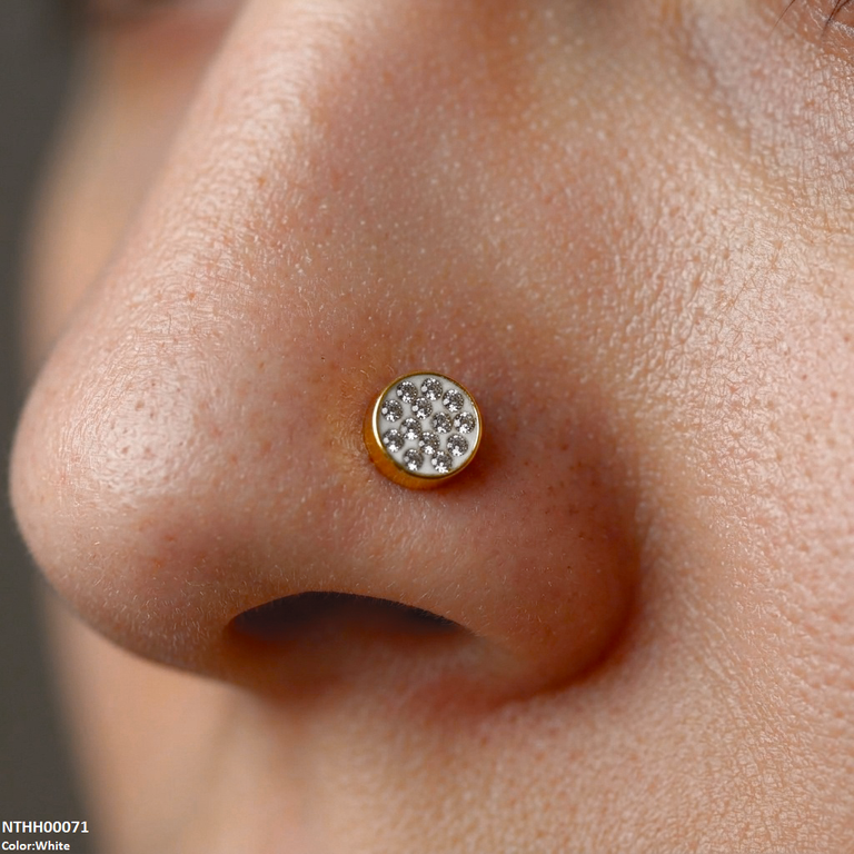 NTHH00071 XAS Round Stone Stainless Steel Nose Pin - NTHH